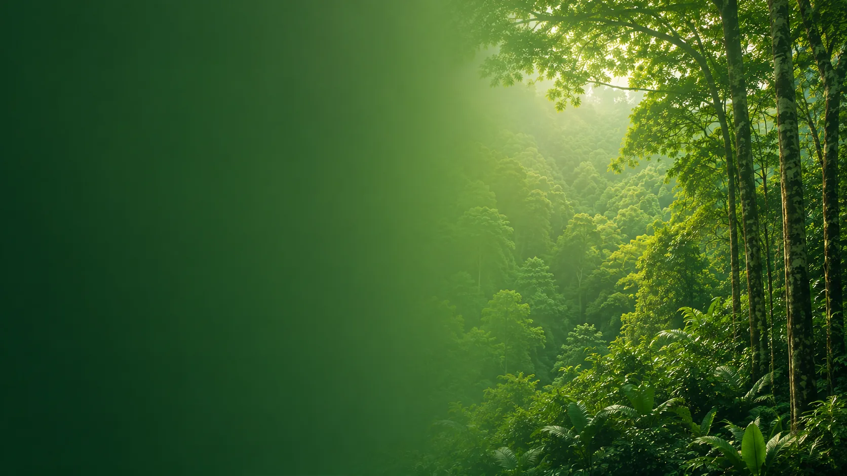 Hutan hijau sebagai representasi energi biomassa berkelanjutan